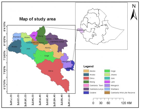 East and the Sudan Republic to the West. The region encompasses three zones; namely Anywaa Zone, Nuer Zone and Majang zone; and comprises 12 woredas, Itang special woreda, and Gambella town administration. The Anywaa zone: consists of Gog, Abobo, Jor, Abol, and Dimma woredas; Nuer zone consists of Jikaw, Makuey, Lare, Wanthowa and Akobo woredas and Majang zone consists of Godere and Mengeshi Woredas (Lema, et al., 2017; Mathewos, M., 2017). The average temperature is 27 o c-33 o c and the annual rainfall amount ranges from 900mm-2200mm (Wondachew, M. and Muchie, N., 2017). The region experiences unimodal rainfall characterized by heavy rainfall from May to October and low precipitation from November to April (Lema/et al., 2017). The Region has a total population of 495,625, 51% (252,769) males and 49% (242,856) female (CSA, 2007). It has being inhabited by the five indigenous ethnic groups and others nationalities. The five indigenous ethnic groups are/Anywaa, Nuer, Majang, Komo and Opo; besides, the other Nationalities of Ethiopia who have been living in the region for such a long time live in harmonization.