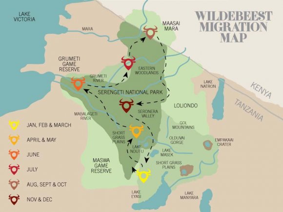 Effect of Wildebeest Migration Pattern on Sustainability of Tourism Development at Mara-Serengeti Ecosystem: A Transboundary Resource Management Perspective Julius N. Menge ? , J. S. Akama ? , C. Ngacho ? & P. O. Odunga ?
