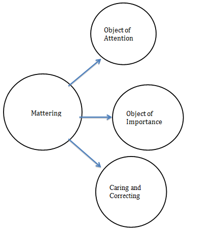 Figure 2 b) Mattering: Am I important? And ultimately, how do managers communicate that employees have value? Performance development is based on the concept of supporting employee belonging, learning and validation. In the 1980s, Rosenberg and McCullough introduced the theory of mattering. This research described how parental