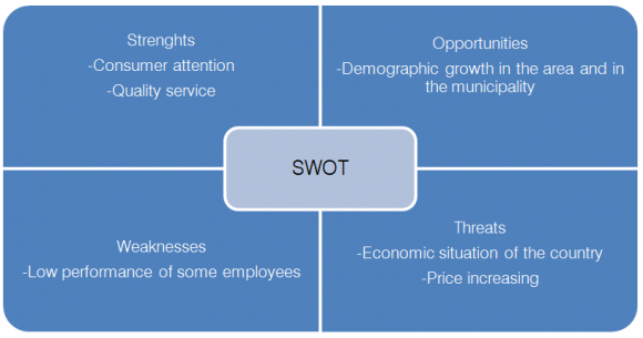 Figure 1 : SWOT Matrix