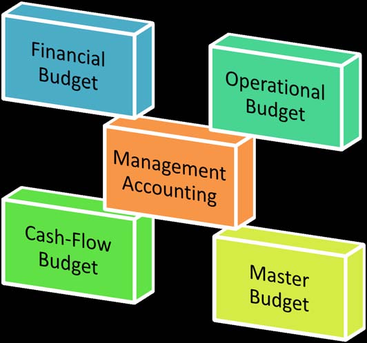Figure 1 : Various stakeholders of accounting