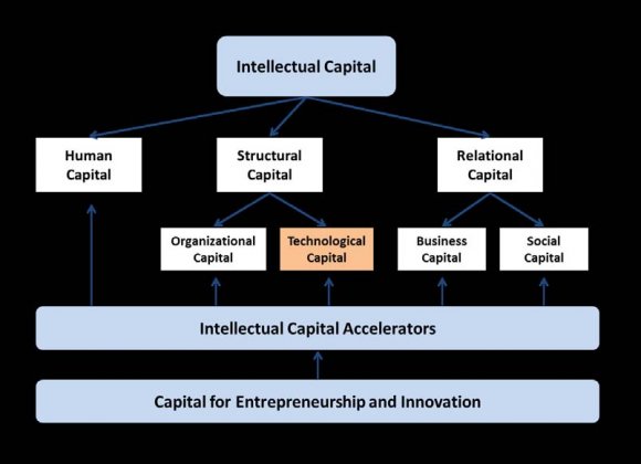 Figure 1 : Intellectus Model