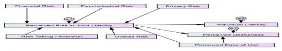 Figure 3.1 : Path Analyses for Perceived Risk and Borrowing Incurring Joint Liability
