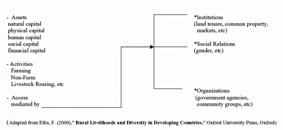 Figure 2 : Gender specific constraintsAccess to finance: In South Asia, women are almost invisible to formal financial institutions-they receive less than 10 percent of commercial credits(Haq, 2000). "Seed Working Paper No. 14", by Nilufer Ahmed Karim made for ILO was based on the findings of the most comprehensive study done till the date byILO (1995)   with a sample size of 500 entrepreneurs (374 women and 126 male). 6% got loans from family members,