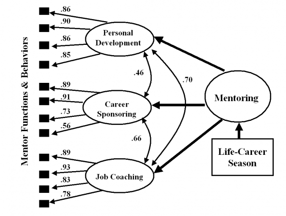Figure 3 : Modified Multi-dimensional Model of Mentoring depicting three dimensions of mentoring and twelve mentor functions and behaviors