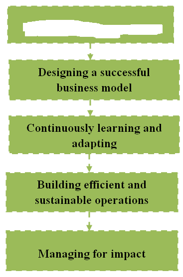 Figure 01: Areas of social business