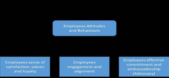 Organizational perception and organizational commitment are associated and significant. cells (.0%) have expected frequencies less than 5. The minimum expected cell frequency is 53.0. b. 0 cells (.0%) have expected frequencies less than 5. The minimum expected cell frequency is 35.3.