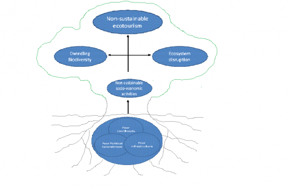 Figure 5: Overgrazing and illegal settlements by Male community members within MNP at Phasa (Source: Field survey photo).