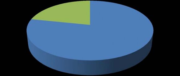 Figure 6: Professions of the Respondents