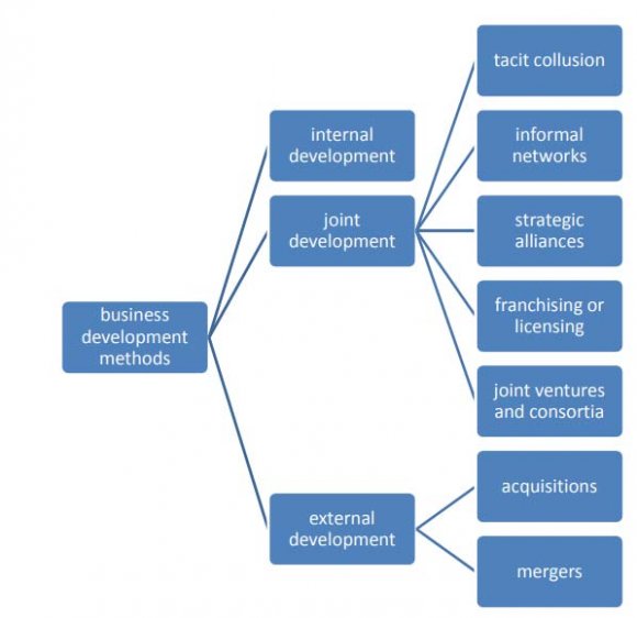 Figure 2.1: Business Development Model