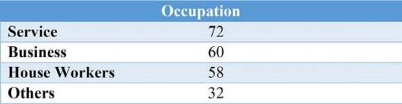 Figure 2: Occupations of the Respondents