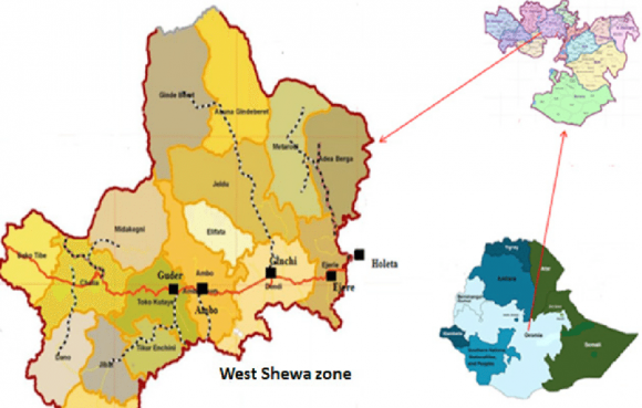 What are factors that affect the effectiveness of TOT administration? How taxpayer's attitudes affect TOT payment?