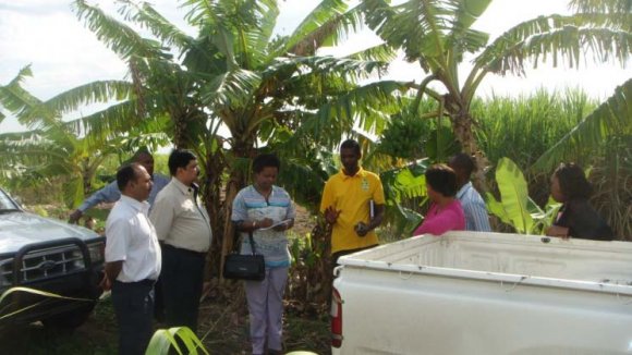 b) Rapid Incubation Programmed Of NSIC c) Training Curriculum for Rapid Incubation Programme III) Hands on Training on machines in Rapid Incubation Programme (4 Weeks) ? Understanding the price and demand of the product in the market. ? Study the established market for finished product. ? Make a market survey report. V) Project Report Preparation (1 Week) During this week the trainees prepare the project report for the project by them. The project report should contain the following: ? Introduction ? Market Survey ? Details of project ? Plant, Machineries and other fixed assets ? Fixed Capital ? Working Capital (Raw material cost, salary and wages, utility and overheads) ? Breakeven point ? Cost of the project ? Sources of finance ? Profit and loss statement ? Cash flow statement ? Expected Balance Sheet for next 5 years ? Re-payment of loan statement VI) Formal approvals and Registrations (1 Week)